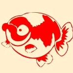 疯狂的鱼～晓锋金鱼