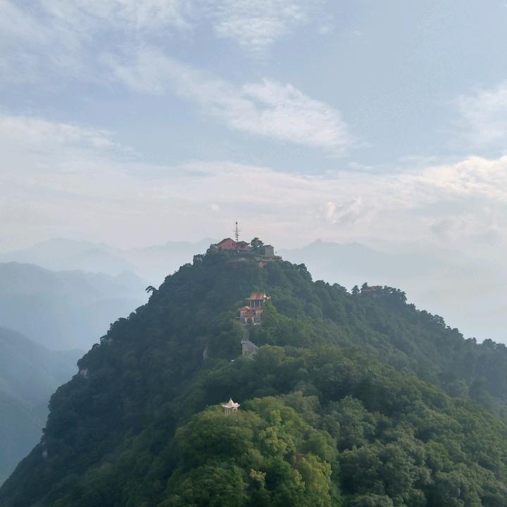 睡老虎🐯