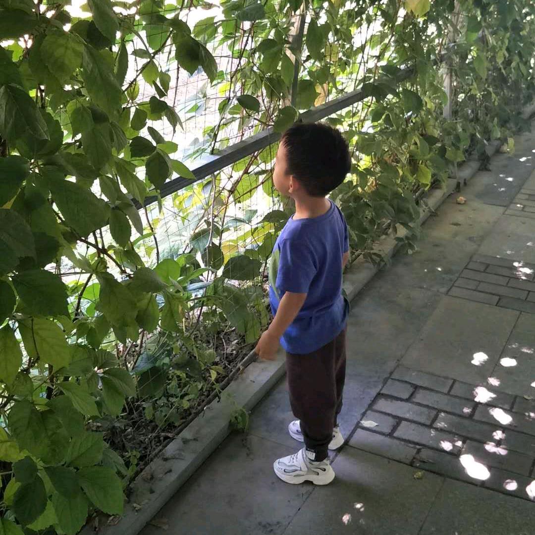 时候