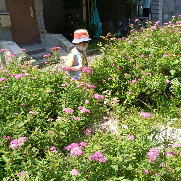 沐沐奶奶