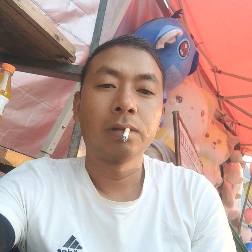 浪子不生根