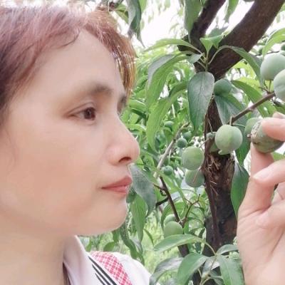 玉