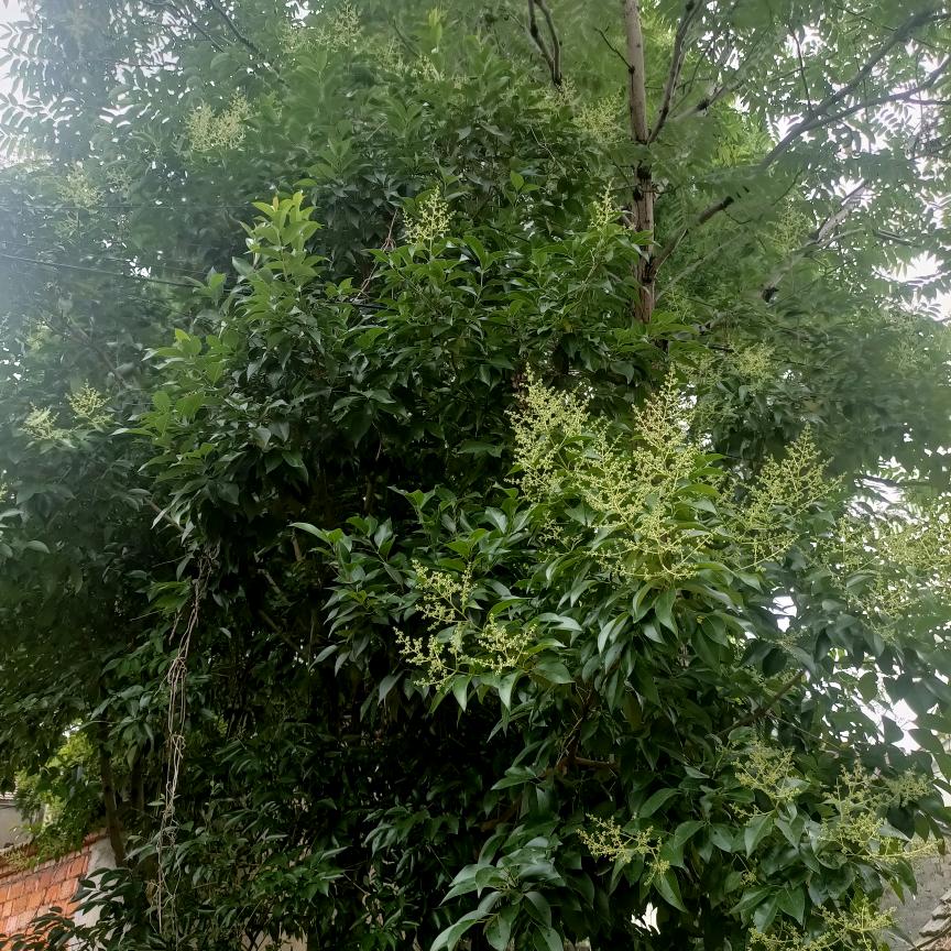 登高望远