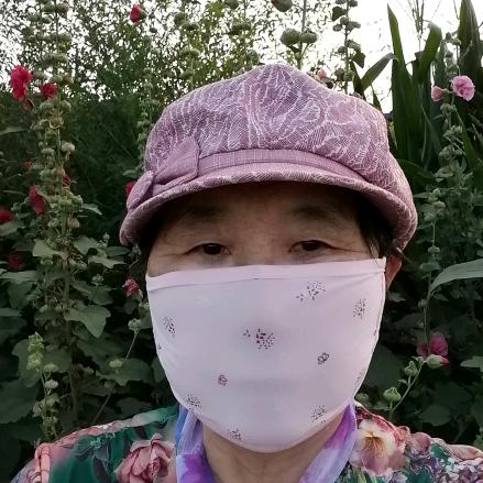灵芝宝典