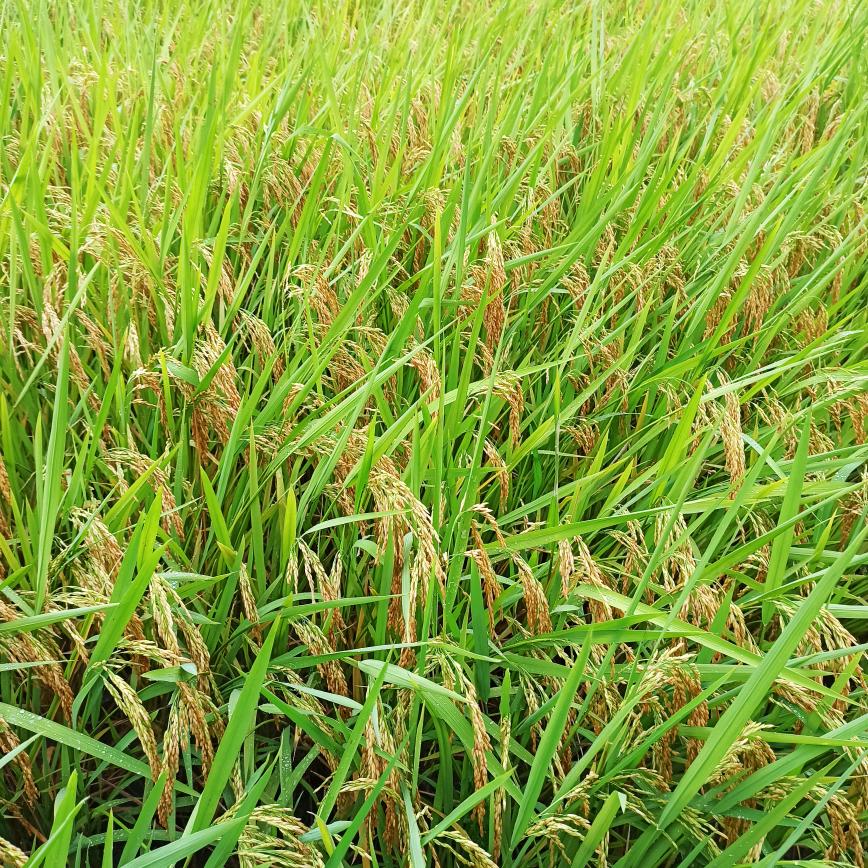 我就是我，独一无二