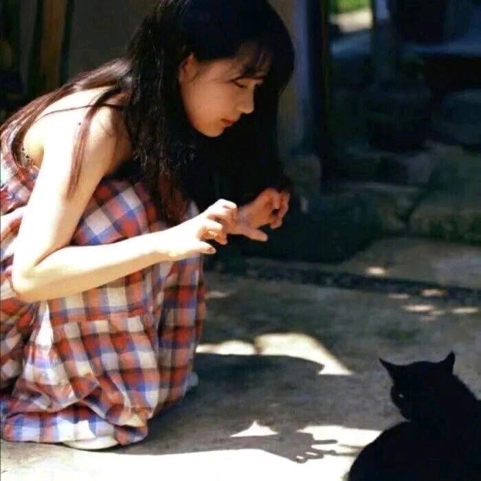 乱糟糟的羊毛卷