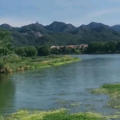 雅木莲家居旗舰店