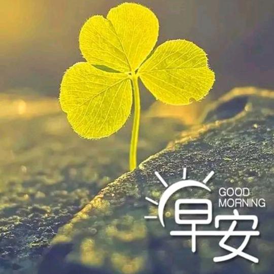 奔向晨曦