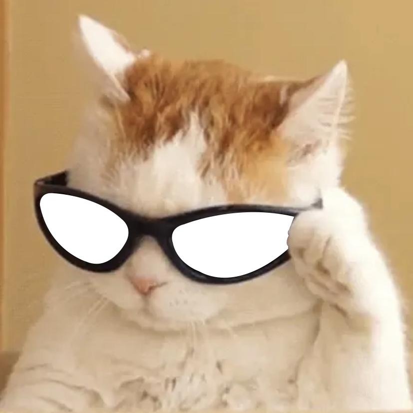 小馋猫🐱