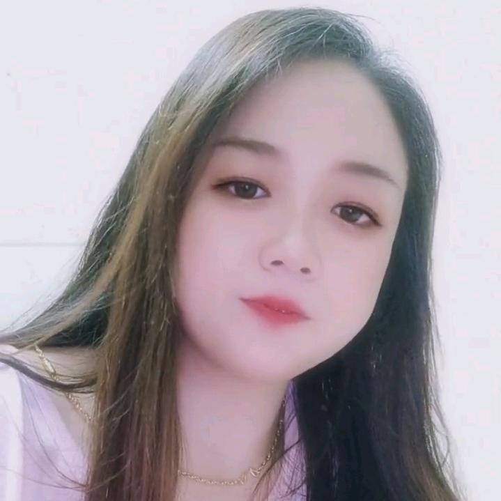 凤凤
