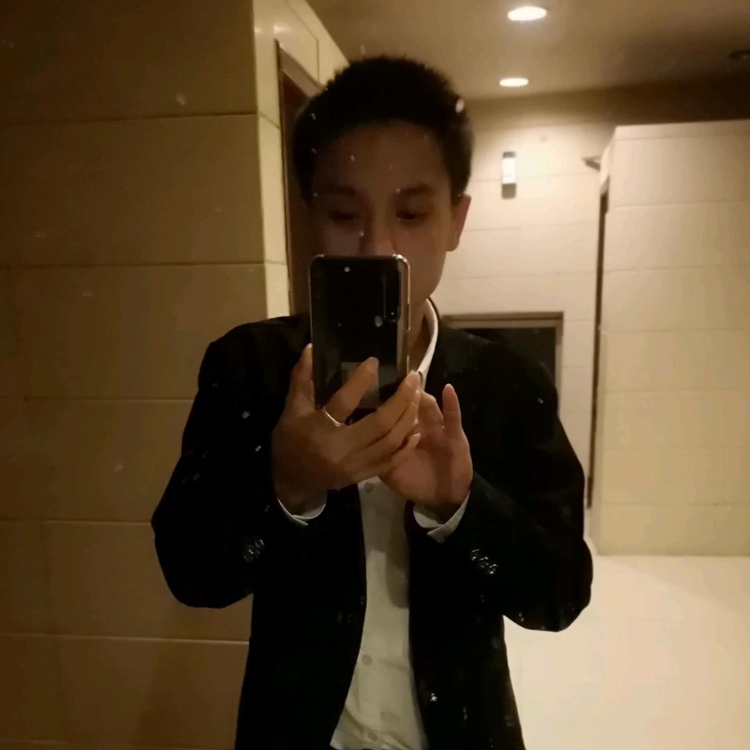 会上树的猪