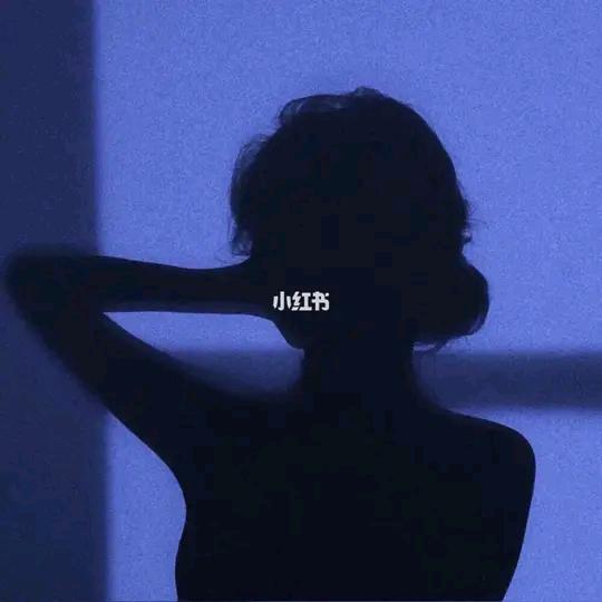 社会你凤姐