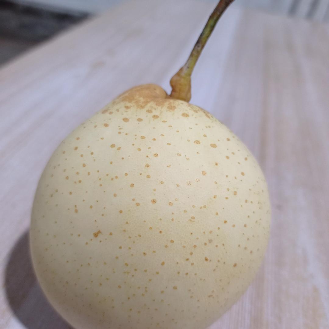 一诺千金