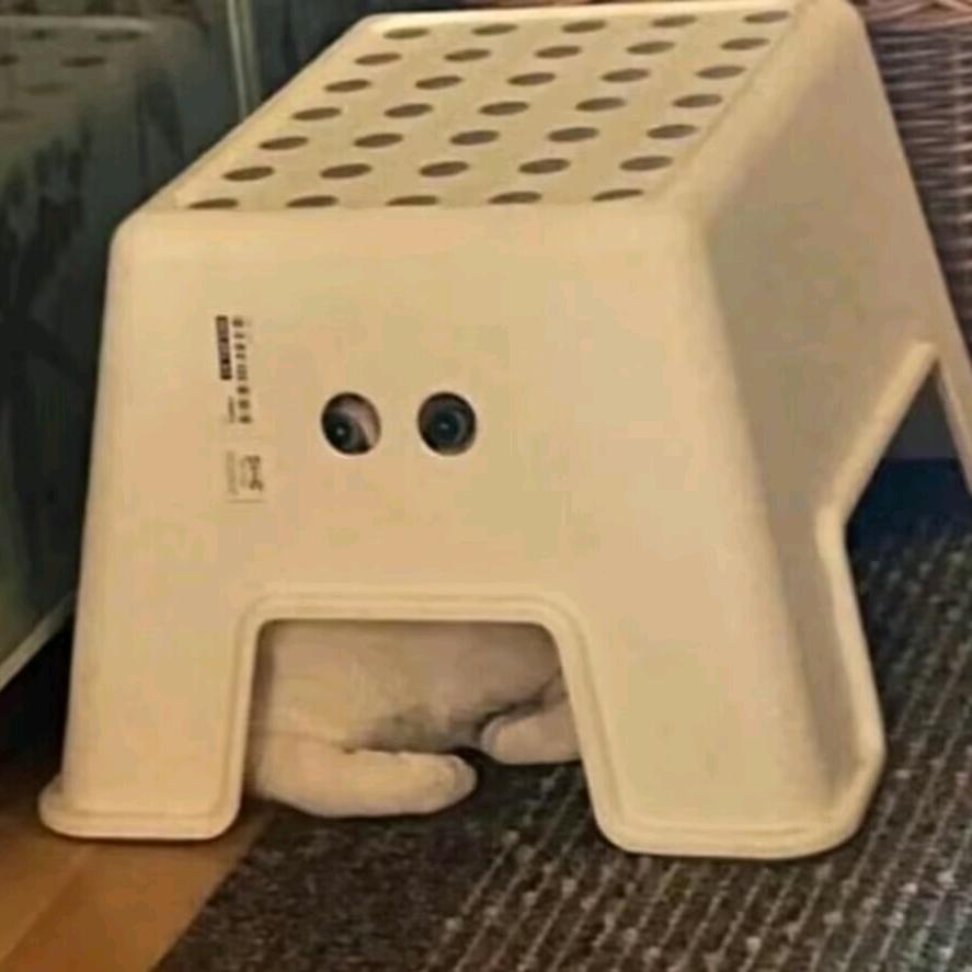 呼拂呼拂