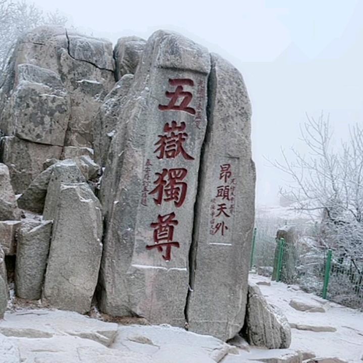 燕南飞 1