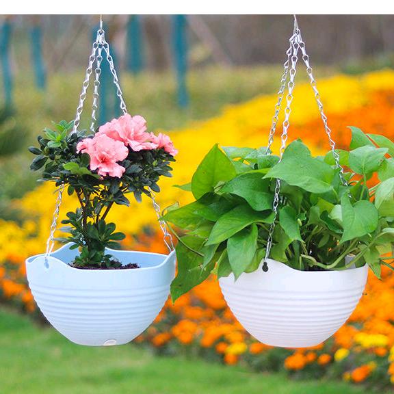 沭阳县极有家电子商务经营部