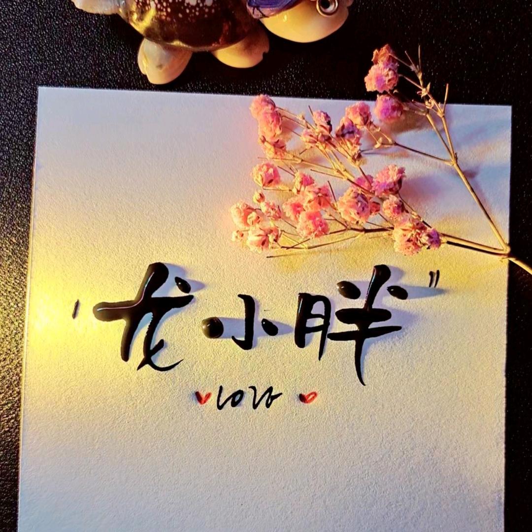 龙小胖的杂货铺