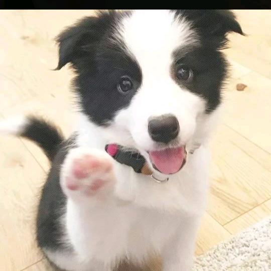 🙄🤗头像