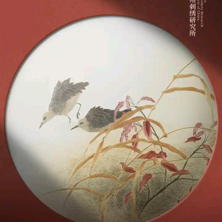老农民