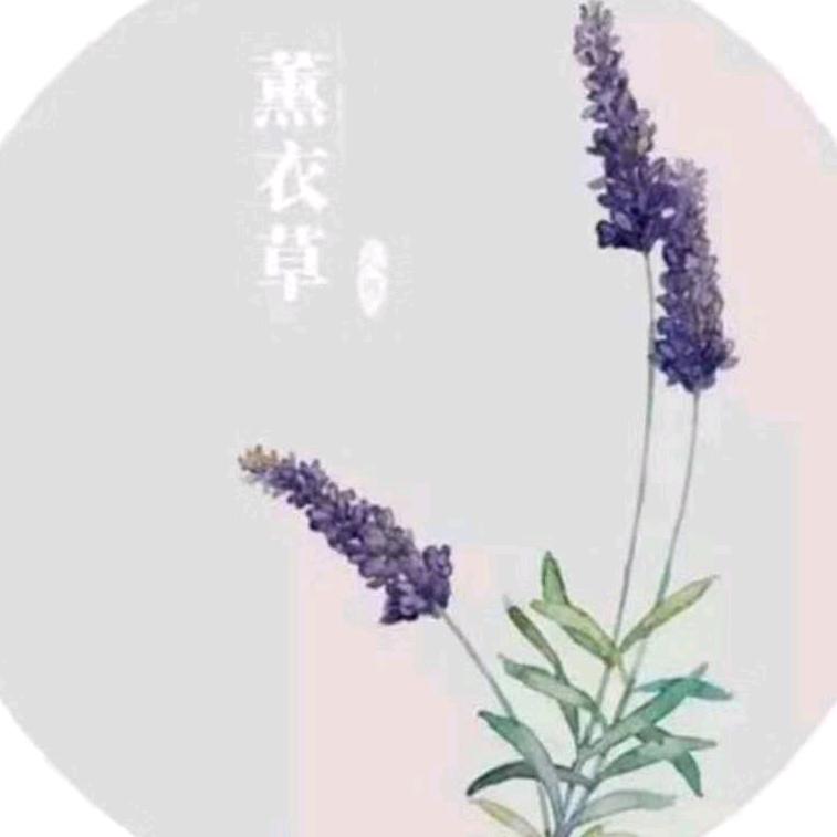 紫色薰衣草w
