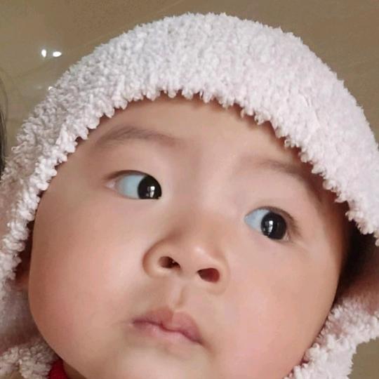 秋歌