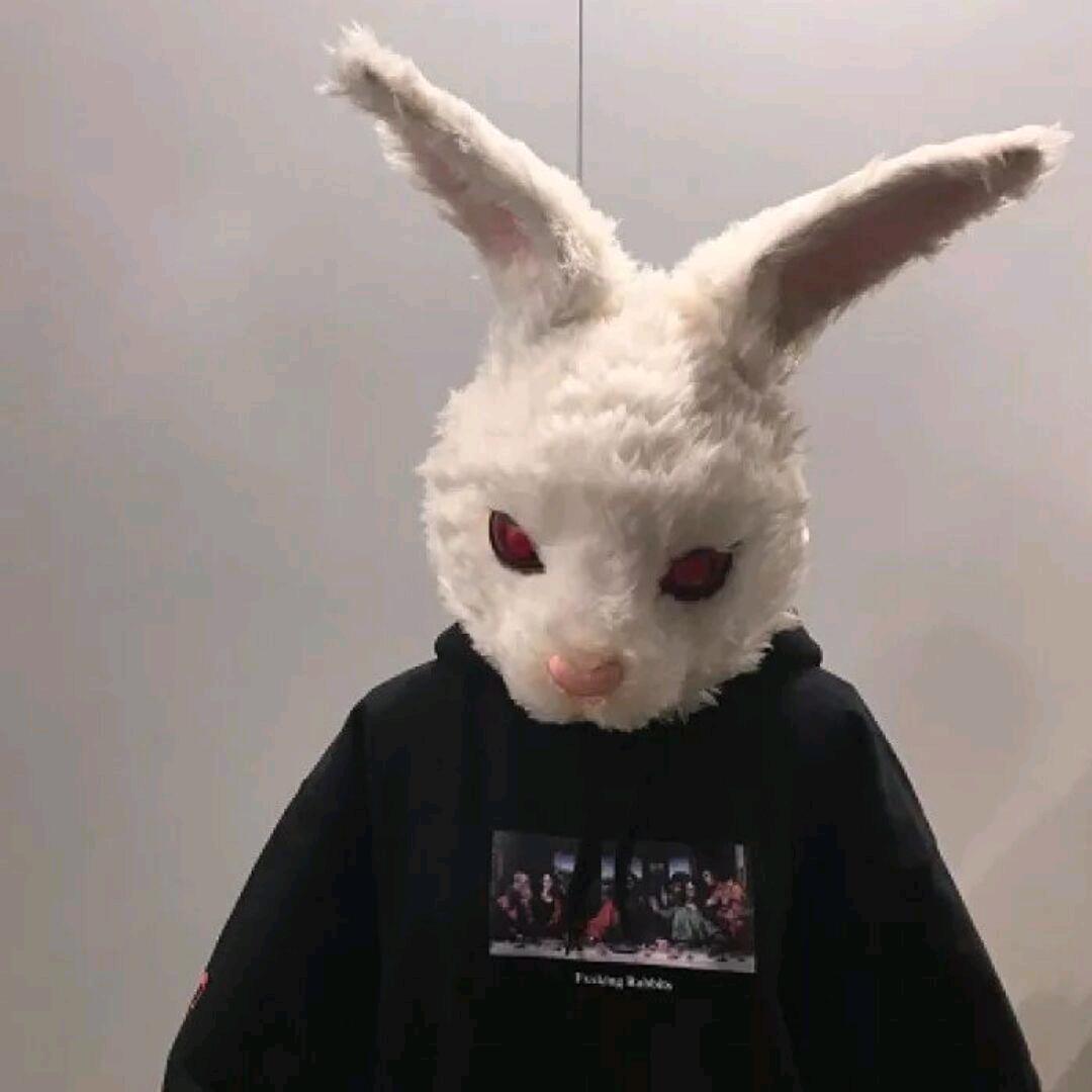 半只烤兔🐇