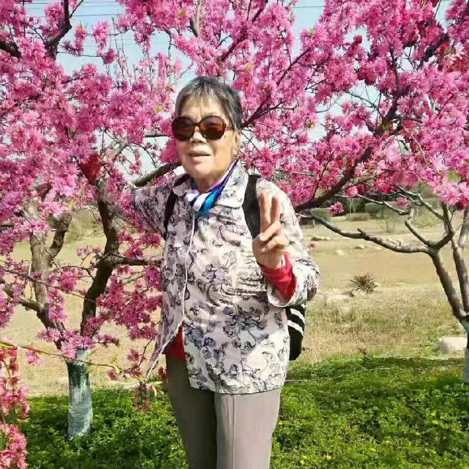 用户7420701790658