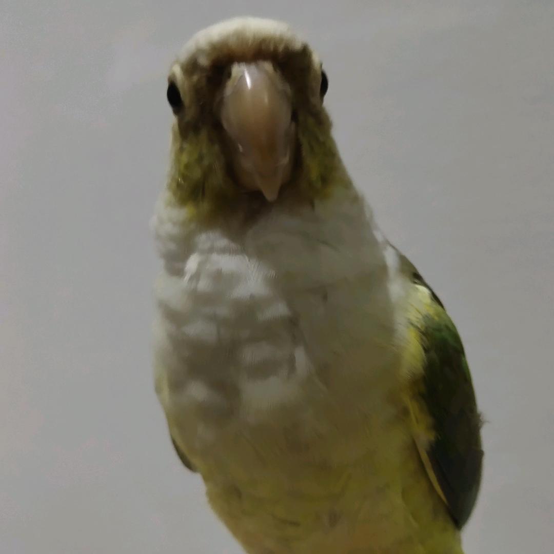 平平安安