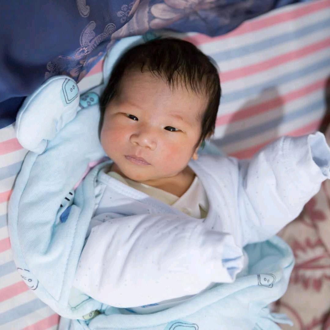 小龙菊