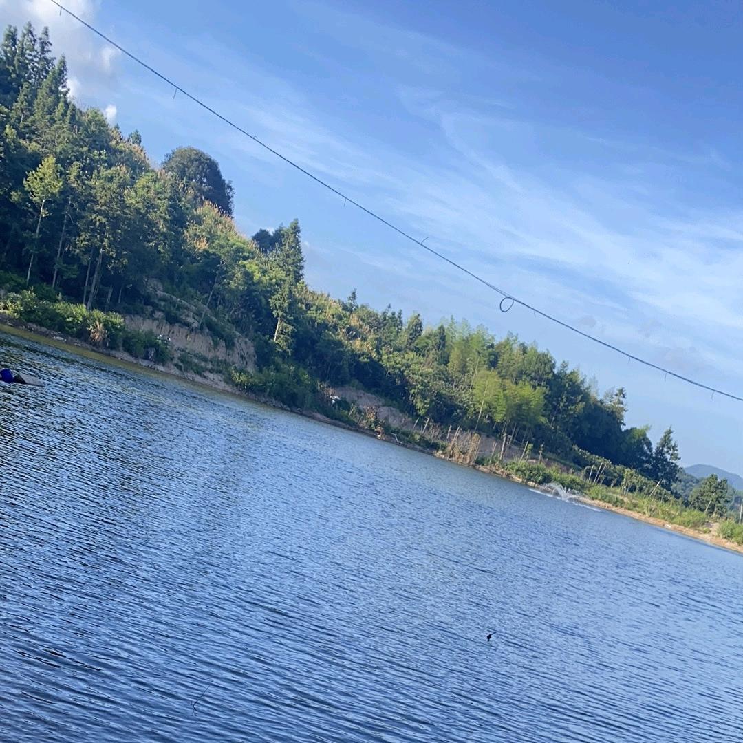 闽大洋(开心俊)