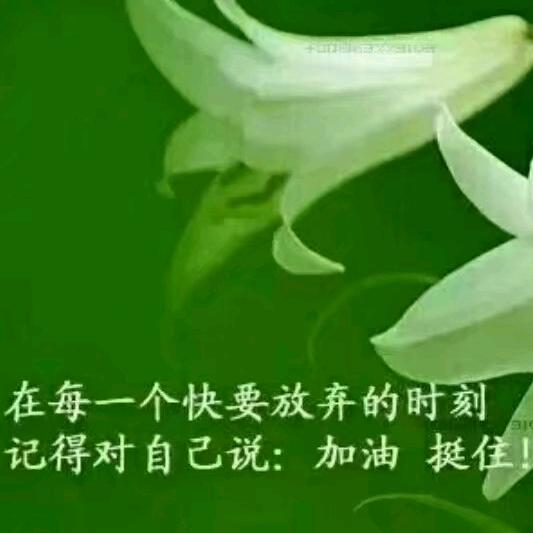 LᎭₑ若💞雪ོﻬ࿚ᔉ