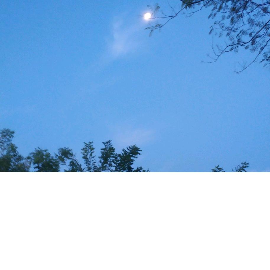 福