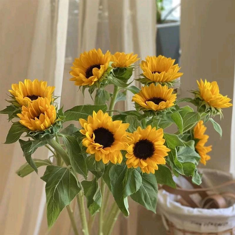 (๑˙ー˙๑)小刘吖！