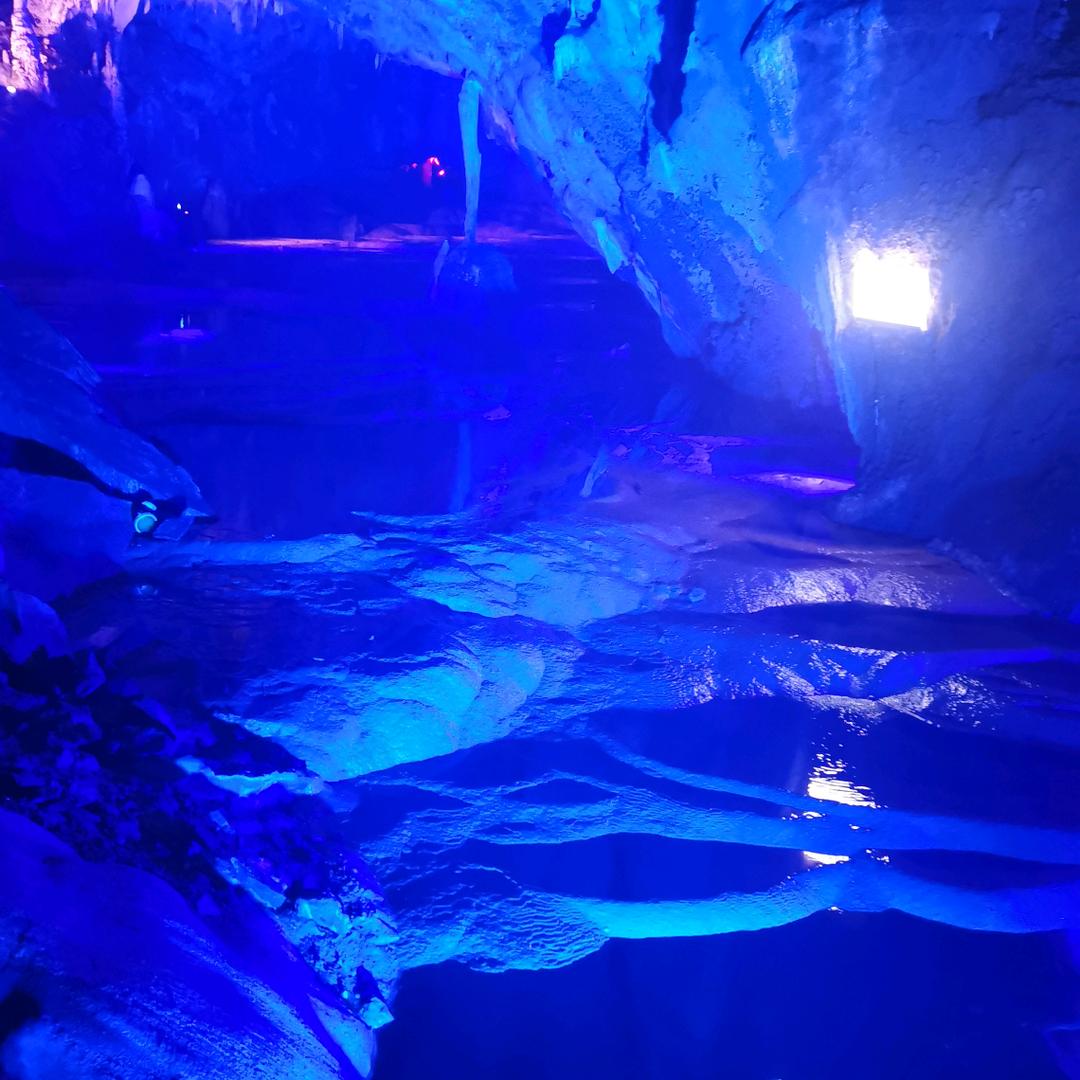 一一丫丫的同学