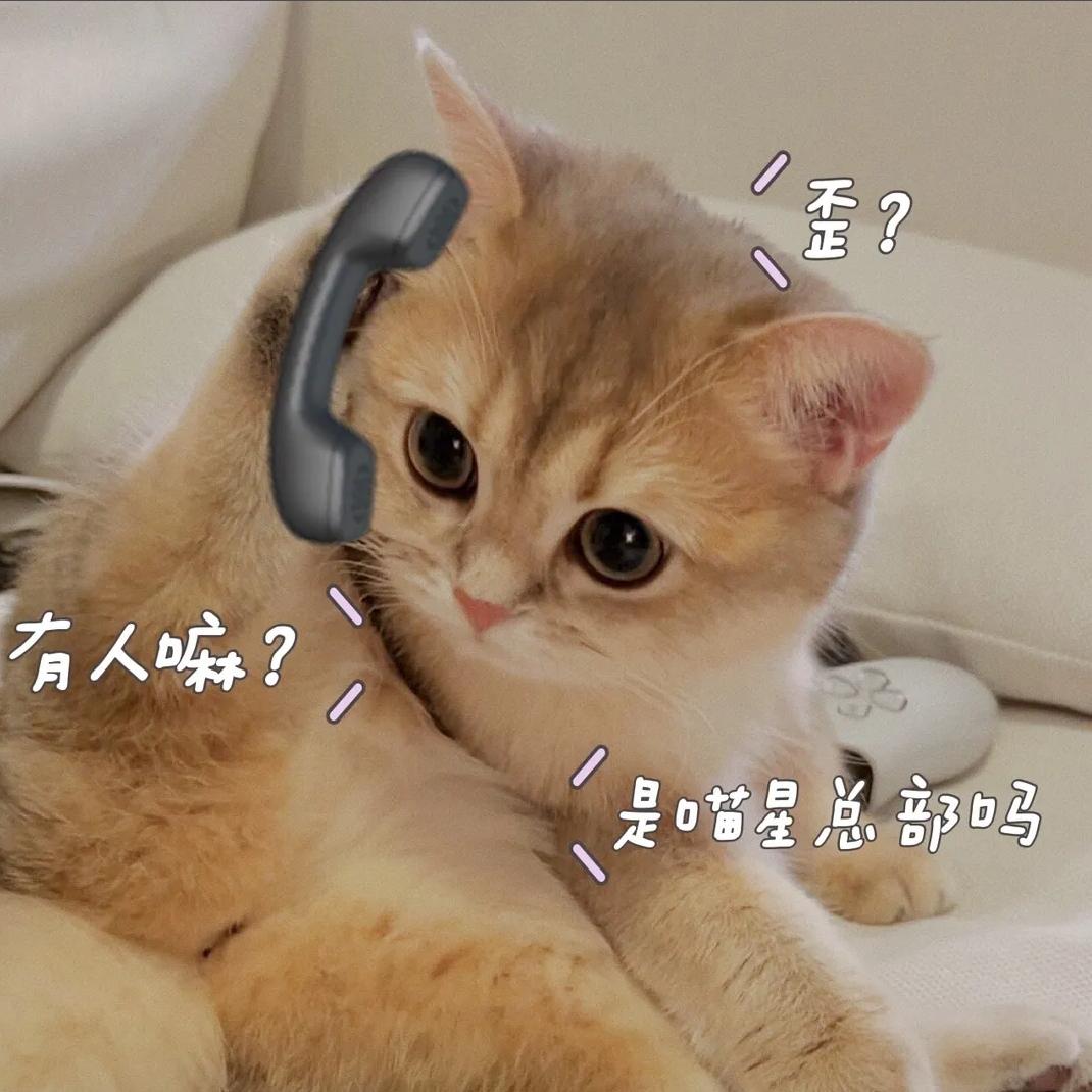 梦梦ꦿ࿐ᮩ້້
