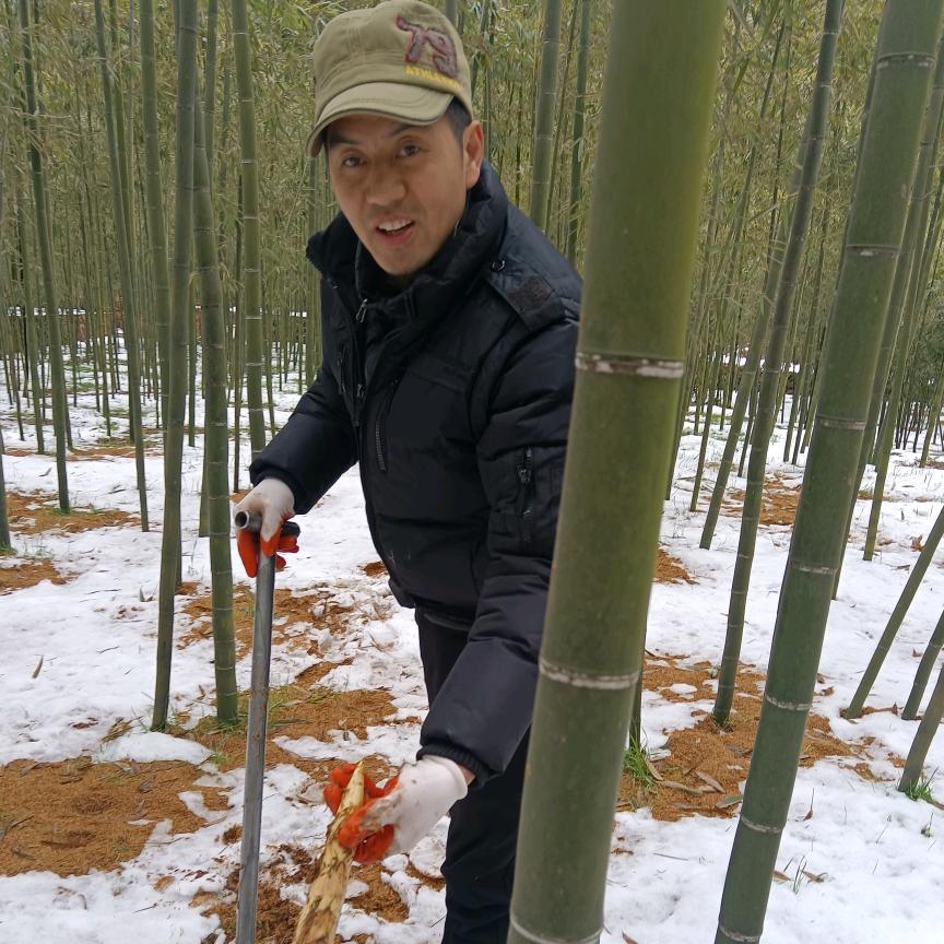 径山 笨笨猪