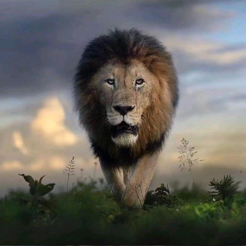 我家有个一百万😂