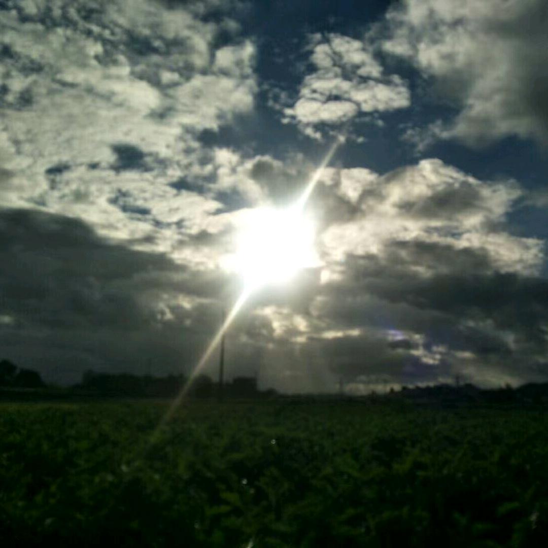 焱烨《煵》★妮妮