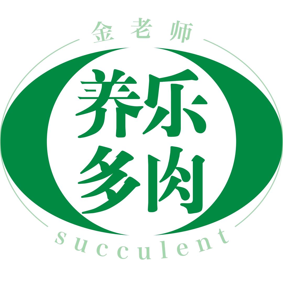养乐多肉金老师