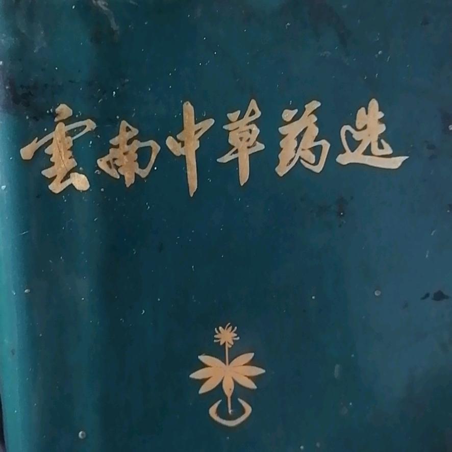 赵中123456789
