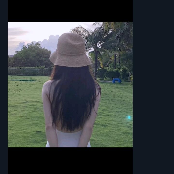 林妹