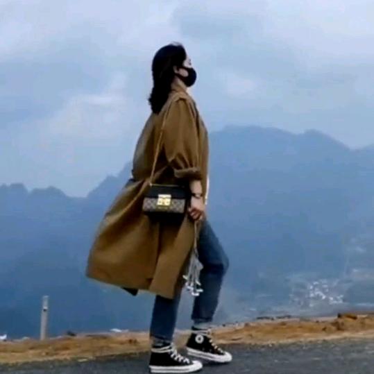 莲缘
