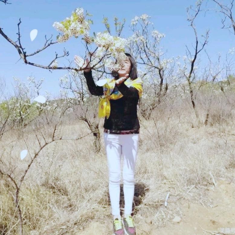 🧚‍♀️嬿子🧚‍♂️