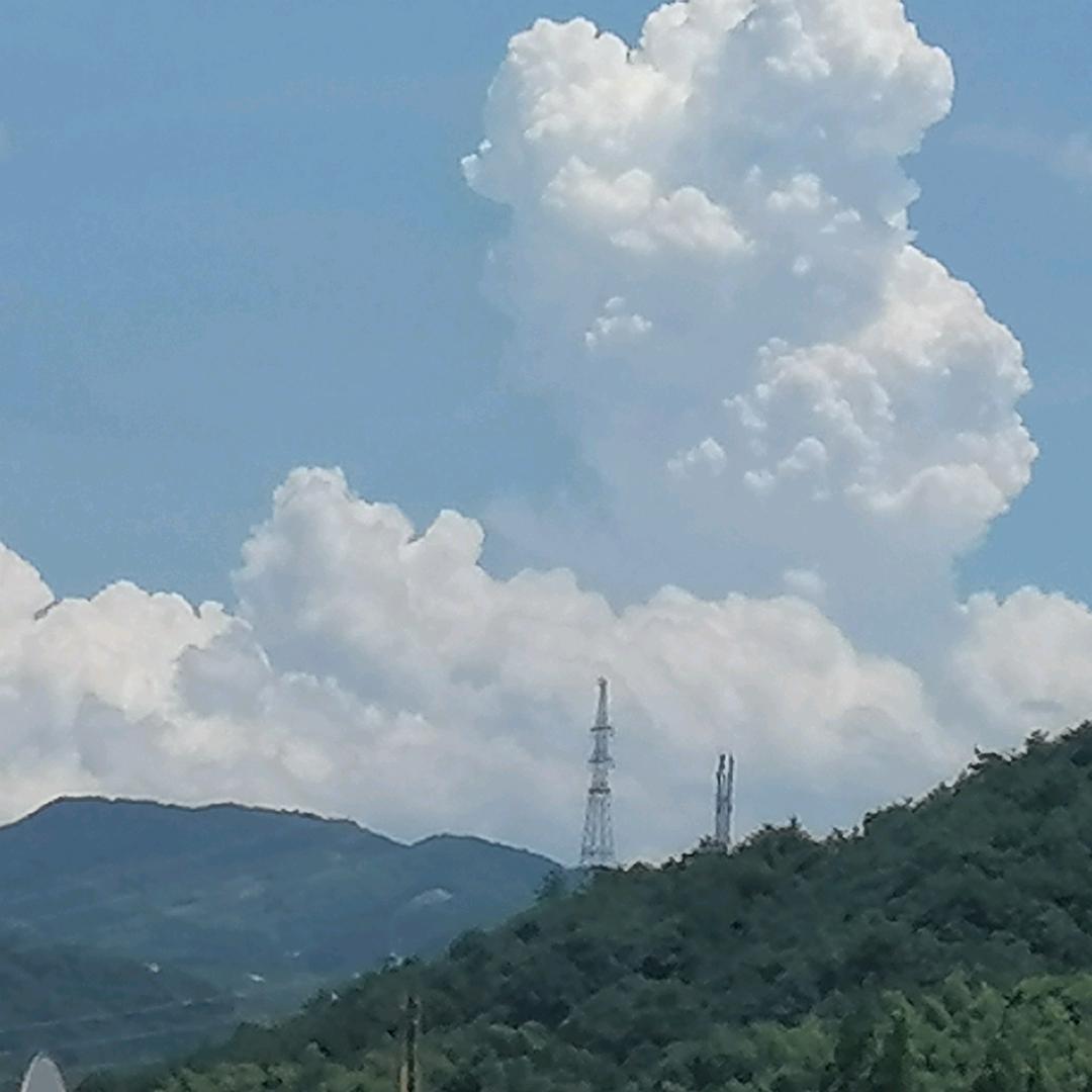 一切随缘