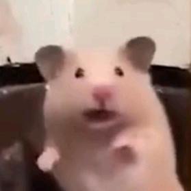 怎么穷，怎么游
