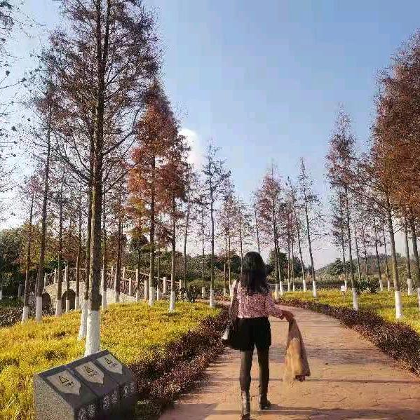 可乐