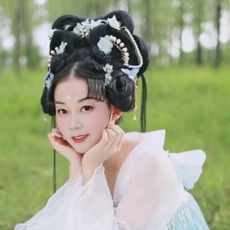 凤飞飞👑👑