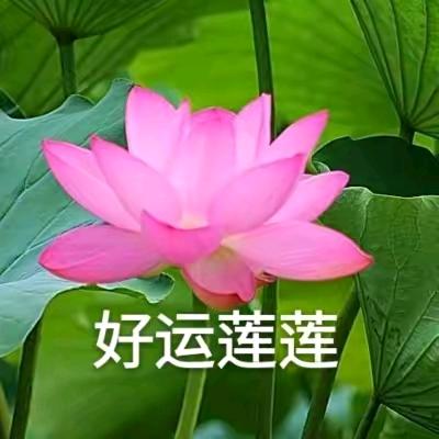 翟老虎🐒