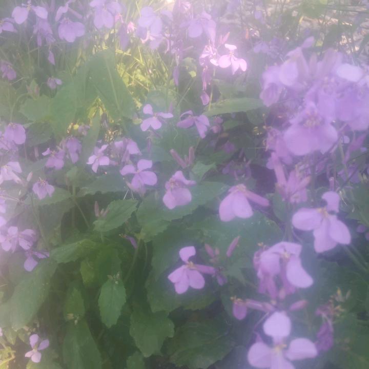@邂逅情缘