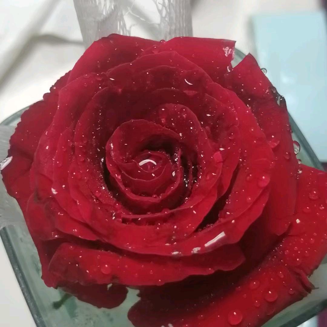 沉默不语